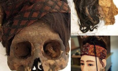 Hair from 2,000-year-old mummies