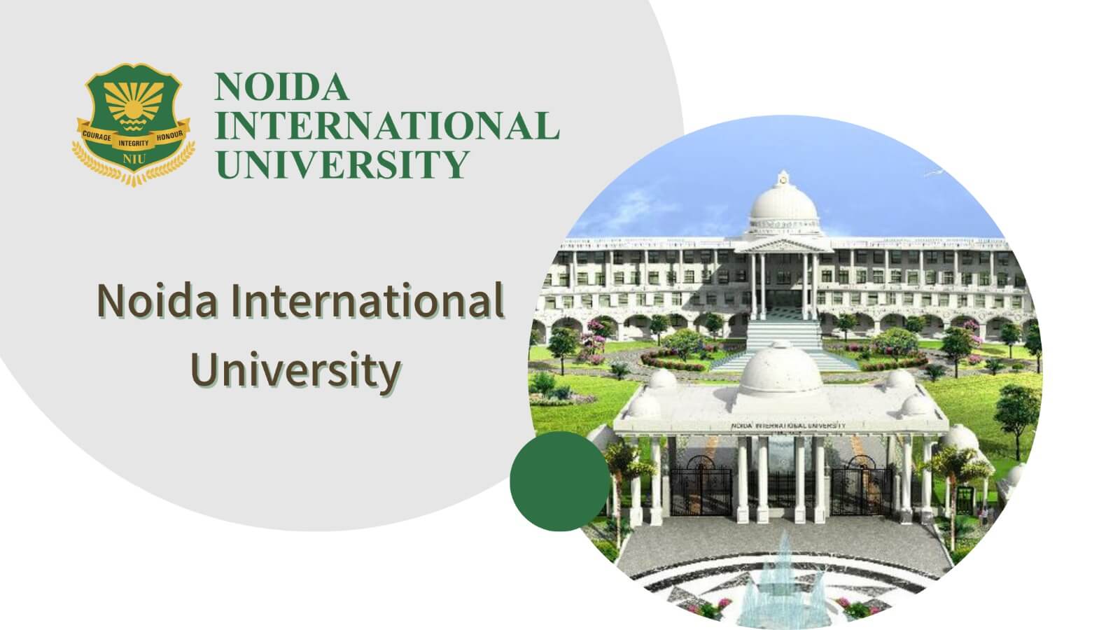 international university
